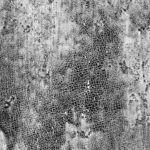 Bootstrap 5 naujovės responsive dizaine