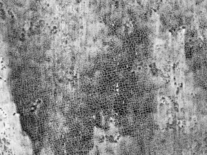 Bootstrap 5 naujovės responsive dizaine