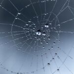 CSS animacijos: interaktyvus web dizainas