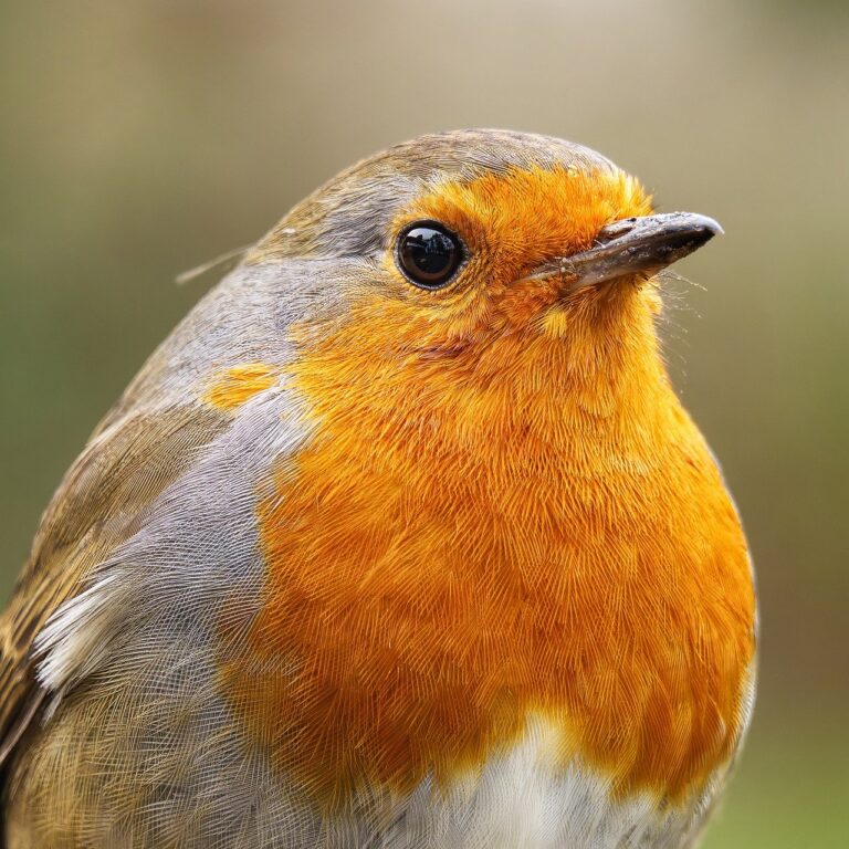 Logstash grok patterns: logų parserinimas