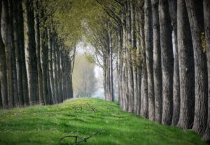RabbitMQ žinučių brokeris: asinchroninė komunikacija