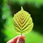 Remix full-stack React framework