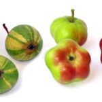 Strapi headless CMS: turinio valdymas per API