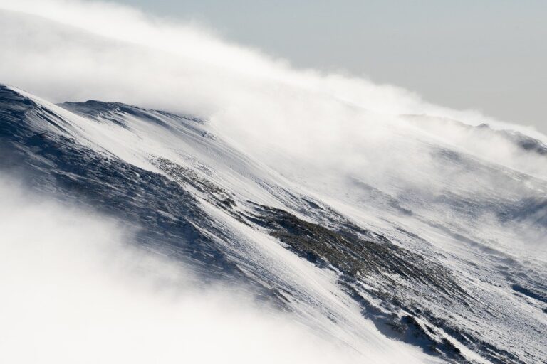 Vultr cloud computing: pigus VPS hosting