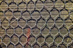 Linkerd ir Istio: service mesh paprastumas