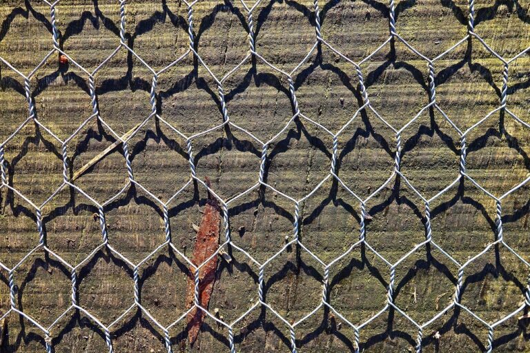 Linkerd ir Istio: service mesh paprastumas