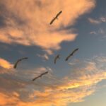 Next.js 14 App Router: pilnas migracijos gidas