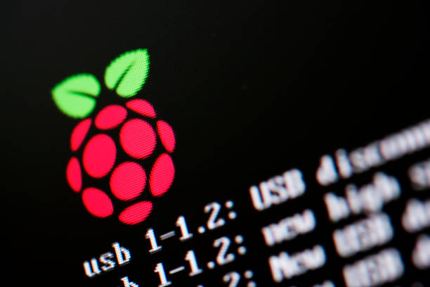 Raspberry Pi namų automatizacija