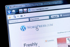 WordPress multisite tinklo kūrimas