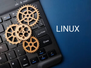 Linux Mint ar Ubuntu: kuri distribucija geresnė