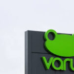 Pigu.lt ir Varle.lt: SEO strategijų analizė