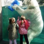 Claude vs ChatGPT vs Gemini: kuris AI asistentas geriausias 2026