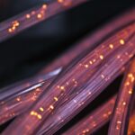 Dynamic DNS pradedantiesiems