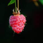 Raspberry Pi 5 projektai 2026 metams