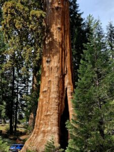 macOS Sequoia apžvalga: nauji bruožai