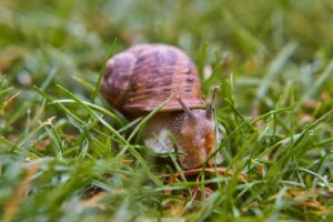 Kodėl kompiuteris lėtai veikia: 7 dažniausios priežastys ir kaip jas išspręsti namuose