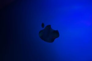 Apple TV+ verta žiūrėti serialai 2026